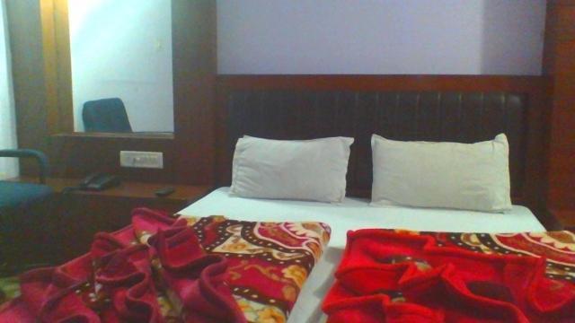Sahara International Deluxe Hotel New Delhi Kamer foto