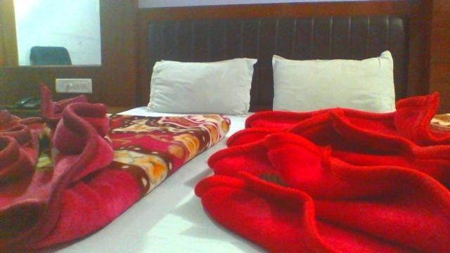 Sahara International Deluxe Hotel New Delhi Kamer foto
